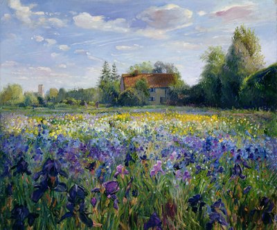 Sera al campo di iris da Timothy Easton
